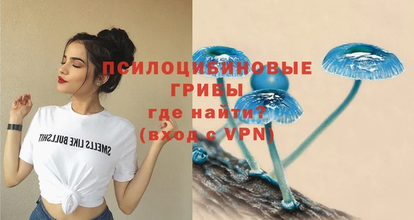 spice Володарск