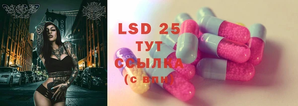 spice Володарск