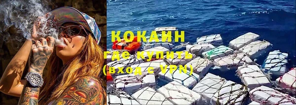 индика Волосово