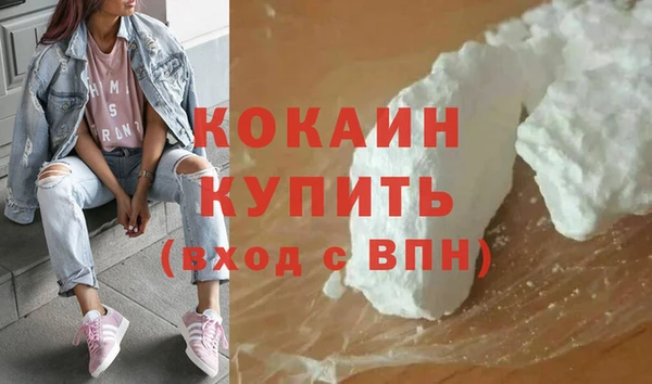 индика Волосово