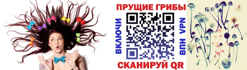 цена   Старый Оскол  Псилоцибиновые грибы мицелий 
